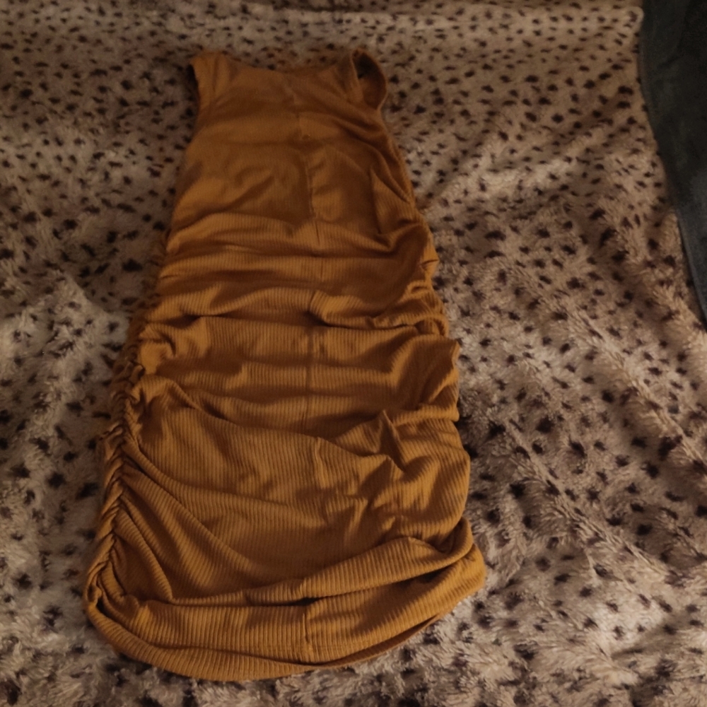 Bodycon mid-length dress. Pink Lily, tan, XS. It has style, class, and comfort.